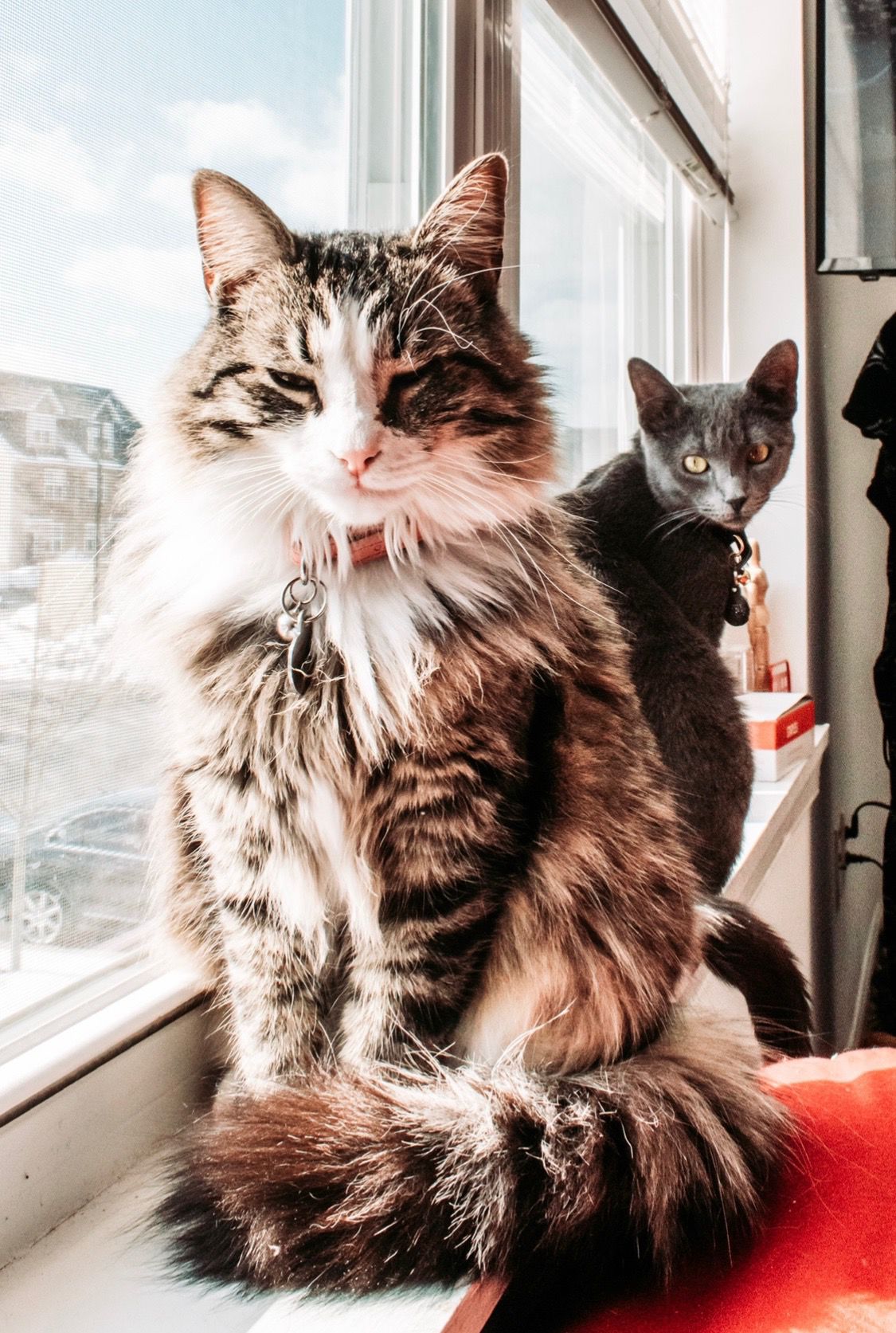 Malibu and Stormy